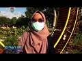 Agro Edu Wisata - Kebun Bang Jani # Liputan Indosiar &amp; SCTV