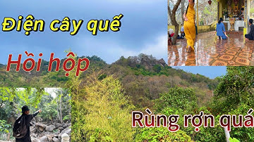 Điện Cây Quế-Núi Cấm An Giang rùng mình trong chuyến đi bộ viếng Núi Cấm đến những giây phút cuối