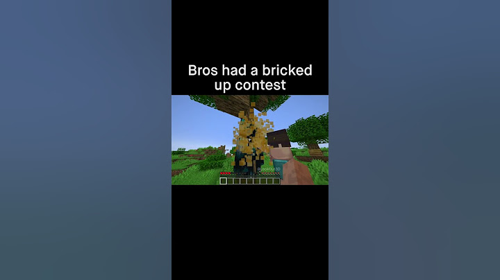 Minecraft Meme