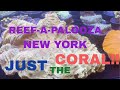 Reefapalooza Reef-A-Palooza! New York 2025 JUST THE CORAL