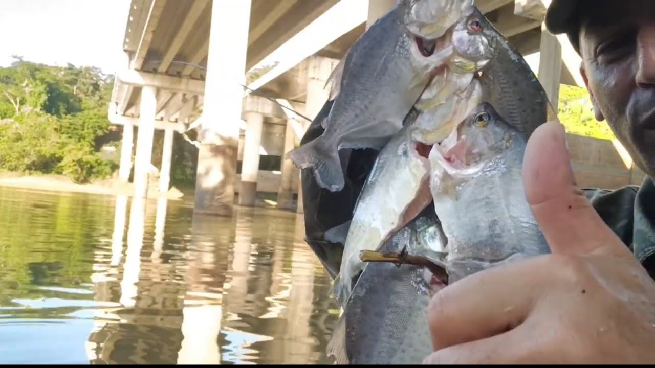 Pescaria de piranha na ponte Estelita com a família ❤️ Frito garantido muita piranha