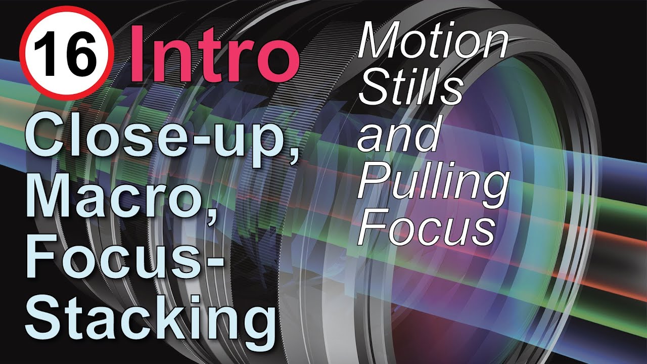 Motion Stills and Follow-Focus: Close-up, Macro, and Focus Stacking, #16