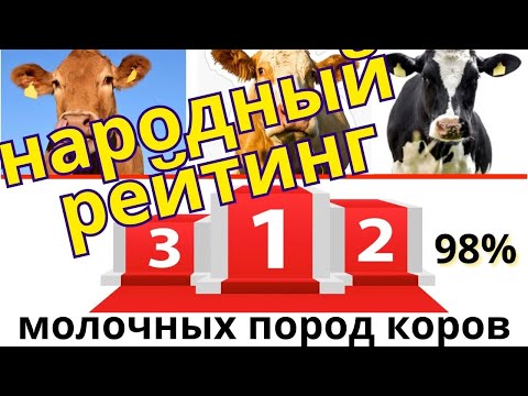 народный рейтинг пород коров