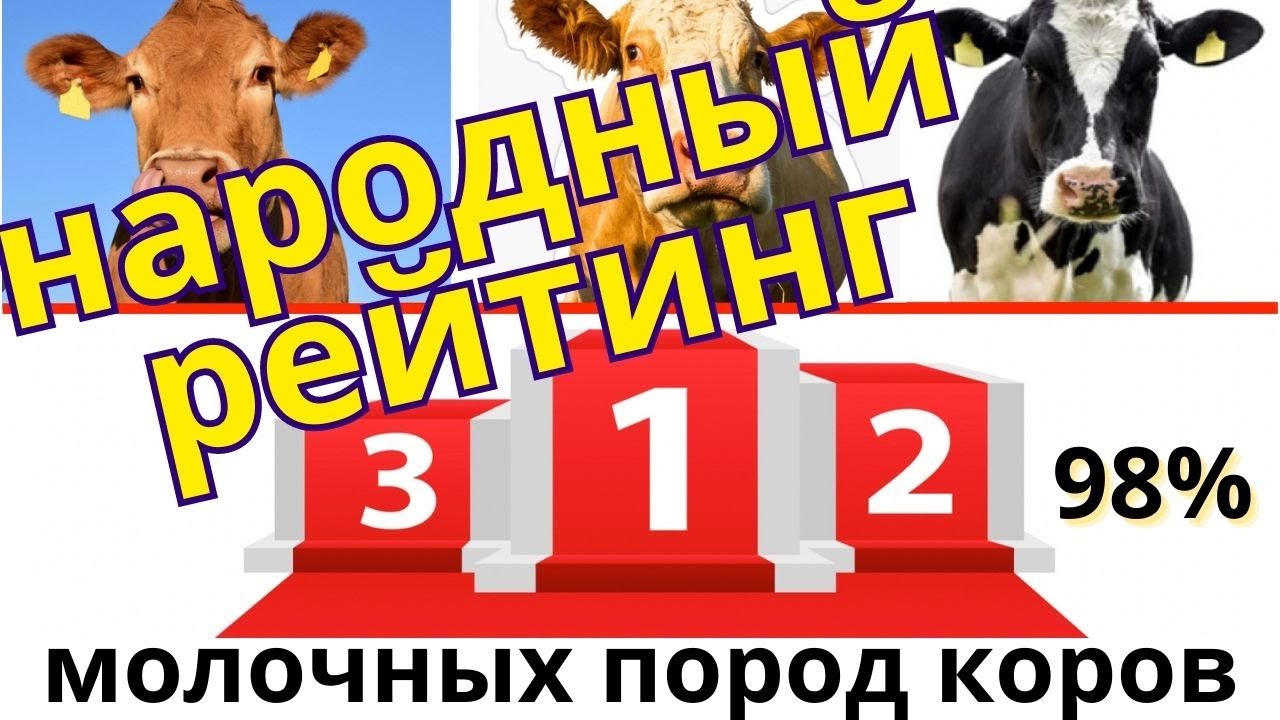 народный рейтинг пород коров