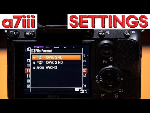 Best A7Iii Video Settings Sony A7Iii Complete Setup Guide For Cinematic Video