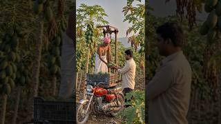 🚜🌿 Desi Jugaad Ka Kamaal! 🌿🚜 #ai #trending #story #shorts
