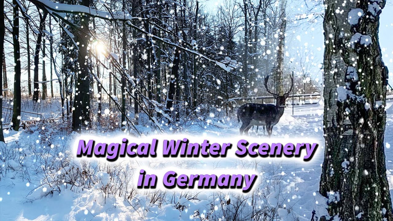 Magical Winter Scenery in GermanyBeautiful SnowWinter Scenes Amazing Snow ViewWinter Wonderland