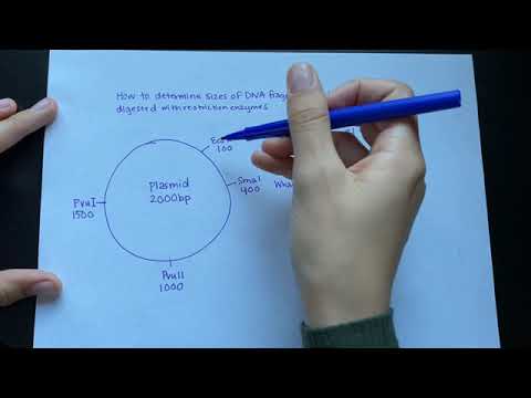 How to determine