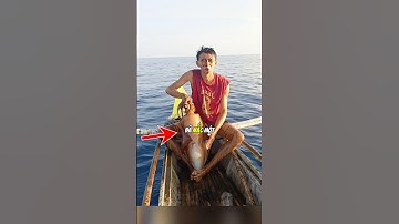 Đừng bao giờ mắc sai lầm khi bắt con mực khổng lồ này 🦑😮