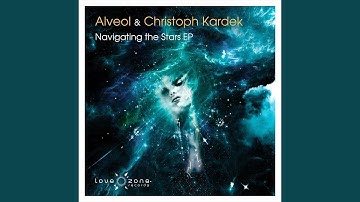 Navigating the Stars