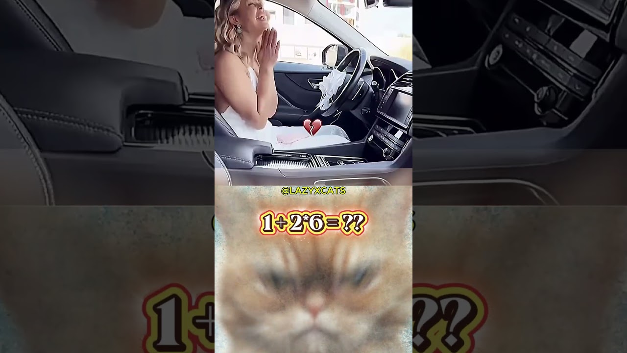 Aura Cat Will Manifest Your Next Laugh 😸✨ | 