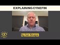 Ian snape  explaining cynefin  from being human 191