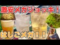 【蒲田】激安メガジョッキと粋なおつまみ達で食べて呑んでガッツリはしご酒【昼呑み】