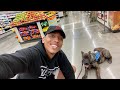 GROCERY STORE SHOPPING WITH OUR PRESA CANARIO PUPPY FOR THE FIRST TIME!