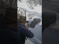 RED DEAD REDEMPTION 2 First Encounter SHOCKING Experience #shorts