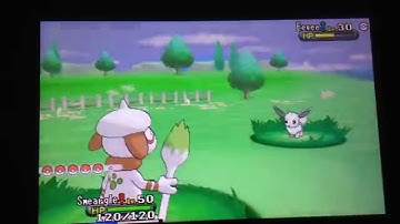 3rd Shiny Eevee Appear In Friend Safari Part 1
