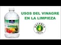 Usos Del Vinagre En La Limpieza | Hacerlo Fácil