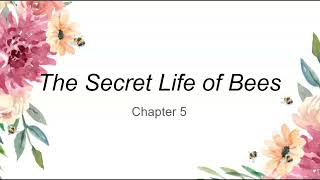 Secret Life of Bees Ch.5 (pp. 82-90)
