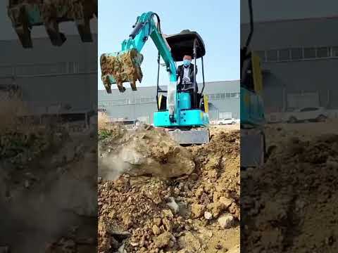 Mini Excavator 1