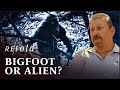 Does Bigfoot Live In Joshua Tree ? | Secrets And Legends