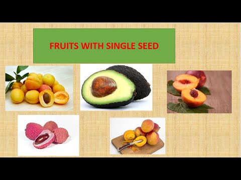 Fruits with single seed. Fruits name for kids. - YouTube