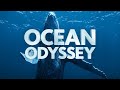 Ocean Odyssey 3D Now Playing at Clark Planetarium