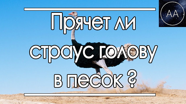 Прячет ли страус голову в песок | All About