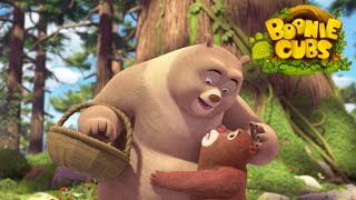 Boonie Cubs 【EP25】 | The Family Visit |Cartoon