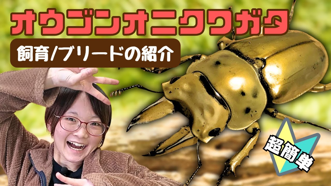 maxresdefault.jpg