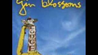 Gin Blossoms- California Sun chords