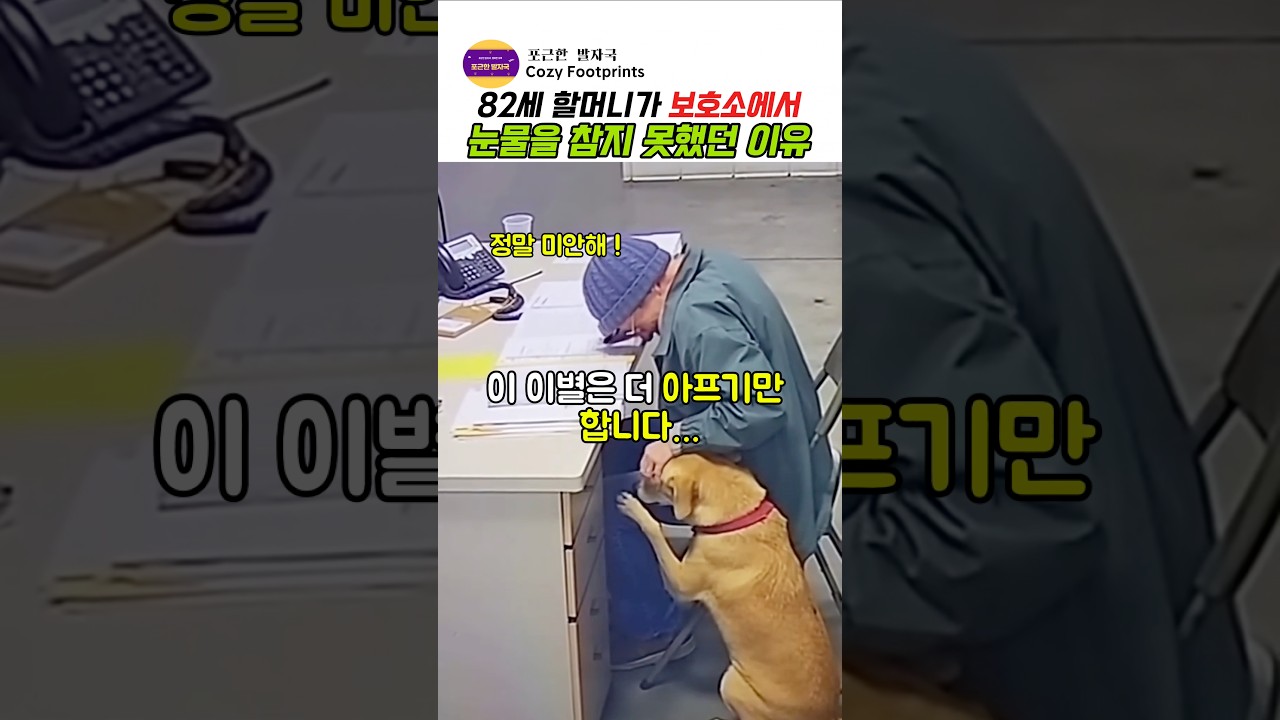 82세 할머니가 보호소에서 눈물을 참지 못한 이유#반려견 #반려동물 #강아지 #동물보호소 #강아지사연 #감동영상 #가족 #귀여운강아지