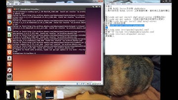 E4b21hw10 在 MySQL server上新增資料庫，資料表以及資料欄位
