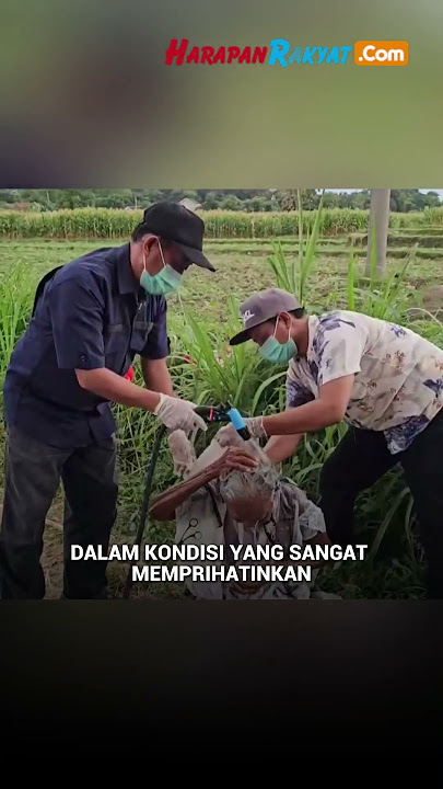 Anak di Probolinggo Usir Ibu Kandung, Ditemukan Terlantar di Pinggir Jalan