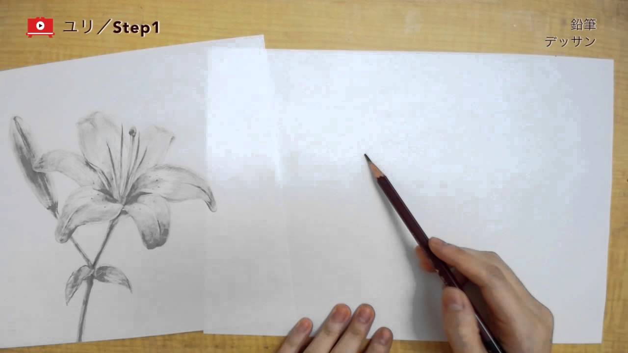 デッサンの描き方 鉛筆一本で表現するユリの花 Youtube