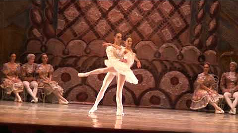 Дарси басселл балерина фото. Балет юмор. Ютуб видео балет. Эшапе в балете. Ютуб видео балет.