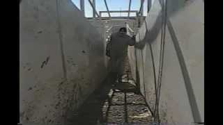 Cattle Transportation - Facilities