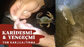 Balık Avında Mevsime Göre Yem Tercihi. MİNAKOP AVI. KUM KÖTEĞİ (KARAKULAK) screenshot 5