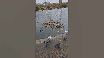 تلاوة عطرة للشيخ احمد العجمي سورة الشرح