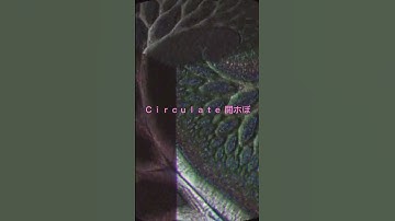 Thumbnail of Ｃｉｒｃｕｌａｔｅ 閲ホぼ  ░▒▓█ 🍒 █▓▒░ Link in comments