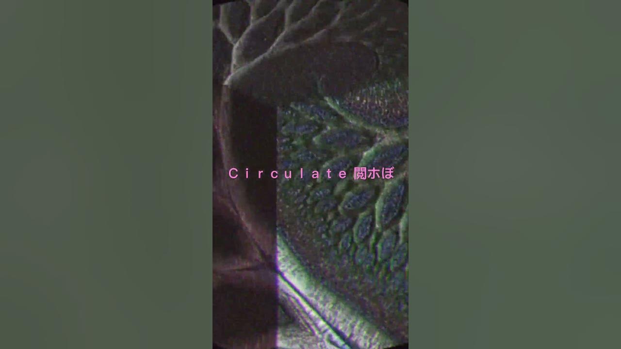 Ｃｉｒｃｕｌａｔｅ 閲ホぼ  ░▒▓█ 🍒 █▓▒░ Link in comments
