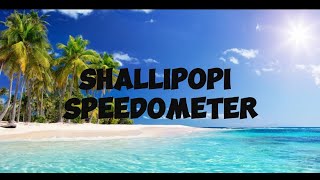 SALLIPOPI SPEEDOMETER  LYRICS VIDEO