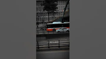 يا جميل الروح الشامي صبرا صبرا Music Song Explore 