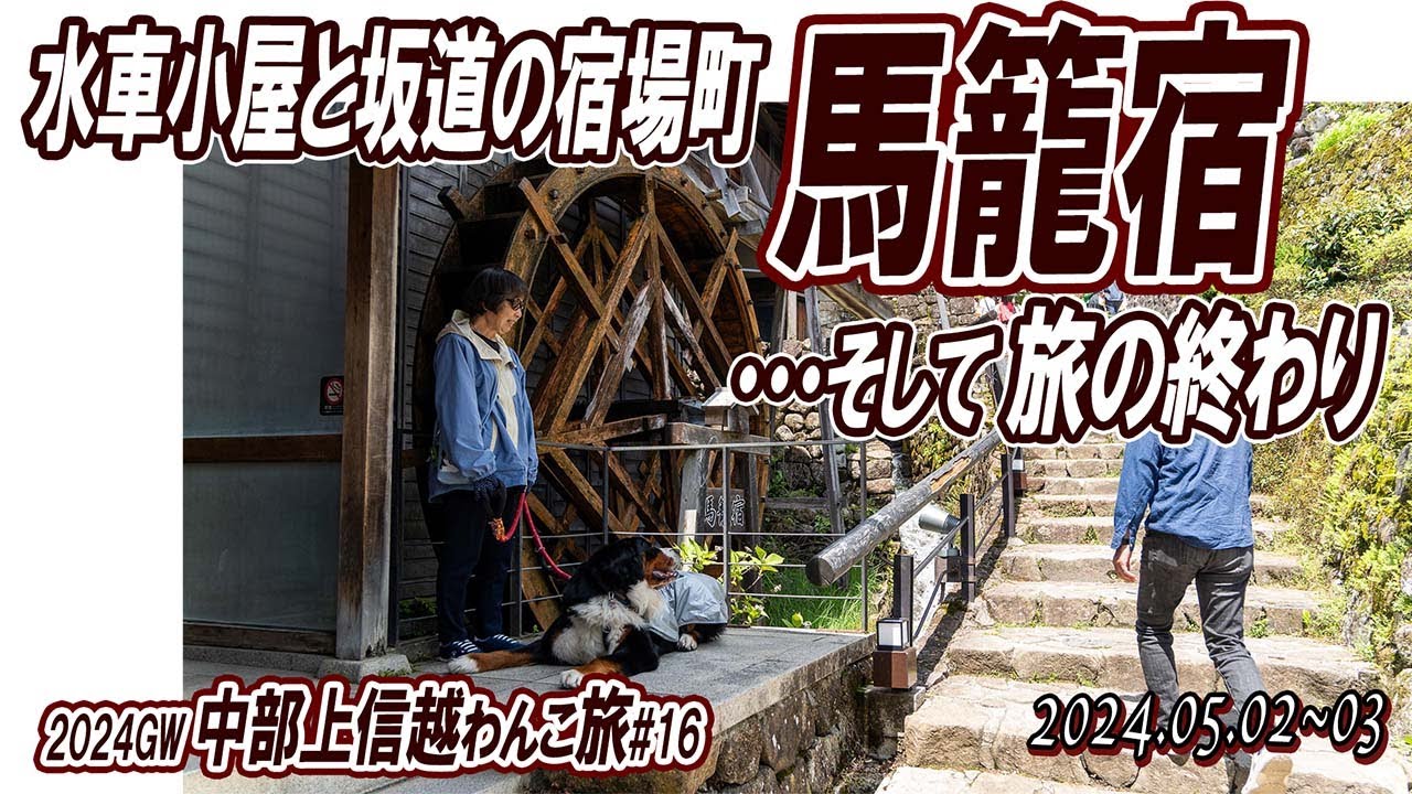大型犬の車中泊旅／石畳の坂道と水車が絵になる馬籠宿＆旅の終わり／中部上信越わんこ旅（その16）／2024GW#16／大型犬散歩