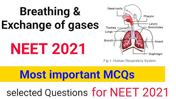 most expected questions for NEET 2021 || Breathing & Exchange of gases