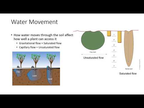 Mechanics of Soil Water