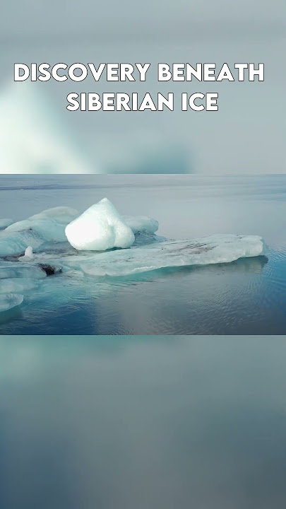 Download lagu What The Oldest Known Virus On Earth Taught Scientists About Life