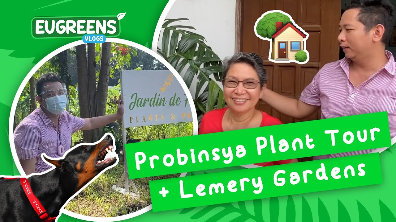 Lemery Garden Tour + Probinsya House Plant Tour