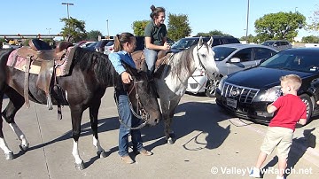 Champ and Fate - riding around town - ValleyViewRanch.net