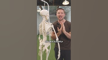 The Best Exercise For Lower Traps