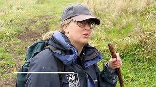 How to survey for water voles